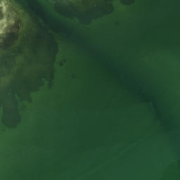 Satellite imagery of Point Pinellas, US