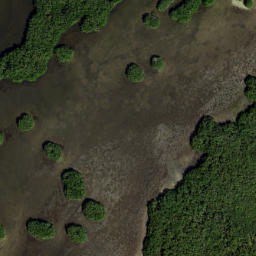 Satellite imagery of Marys Point, US