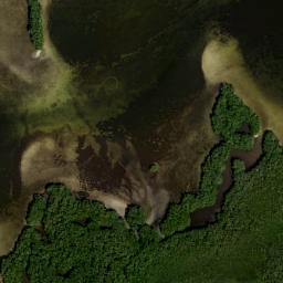 Satellite imagery of Snag Point, US