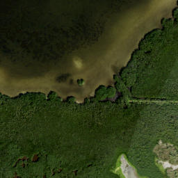 Satellite imagery of Snag Point, US