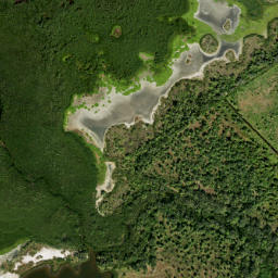 Satellite imagery of Snag Point, US