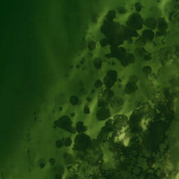 Satellite imagery of Moody Point, US