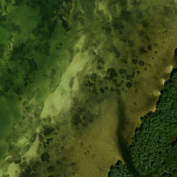 Satellite imagery of Moody Point, US