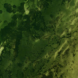 Satellite imagery of Moody Point, US