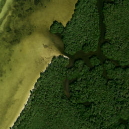 Satellite imagery of Moody Point, US