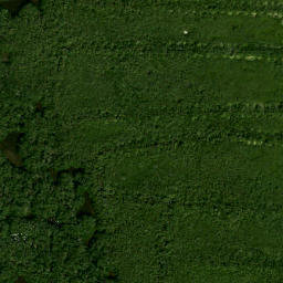 Satellite imagery of Moody Point, US
