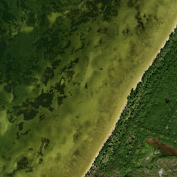 Satellite imagery of Moody Point, US