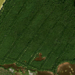Satellite imagery of Moody Point, US