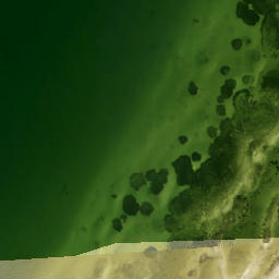 Satellite imagery of Piney Point, US