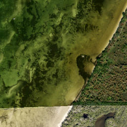 Satellite imagery of Piney Point, US