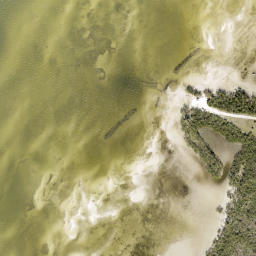 Satellite imagery of Piney Point, US