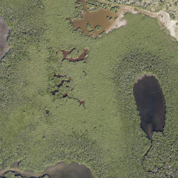 Satellite imagery of Northeast Head, US