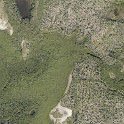 Satellite imagery of Northeast Head, US