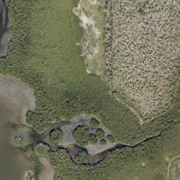 Satellite imagery of Northeast Head, US