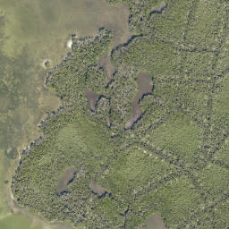 Satellite imagery of Fletcher Point, US