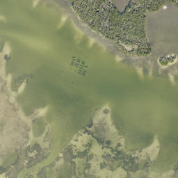 Satellite imagery of Fletcher Point, US