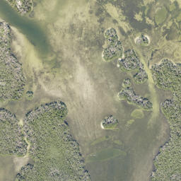 Satellite imagery of Fletcher Point, US