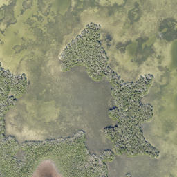Satellite imagery of Fletcher Point, US