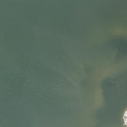 Satellite imagery of Palmetto Point, US