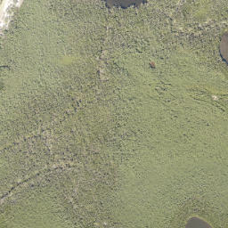 Satellite imagery of Terra Ceia Point, US