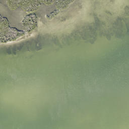 Satellite imagery of Gus Point, US