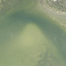Satellite imagery of Gus Point, US