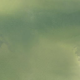 Satellite imagery of Terra Ceia Point, US