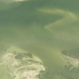 Satellite imagery of Terra Ceia Point, US