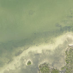 Satellite imagery of Gus Point, US