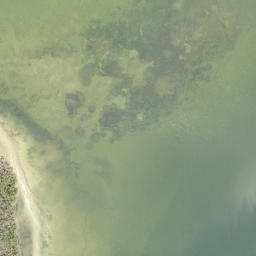 Satellite imagery of Gus Point, US