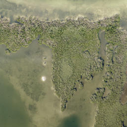 Satellite imagery of Gus Point, US