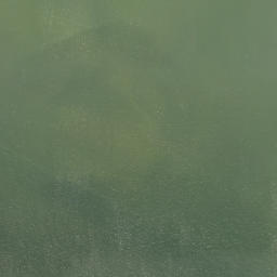 Satellite imagery of Bishop Point, US