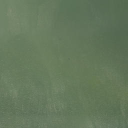 Satellite imagery of Bishop Point, US