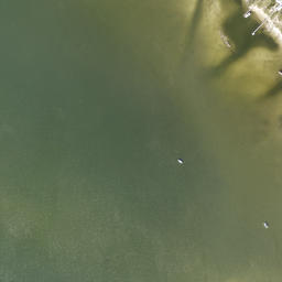 Satellite imagery of Bishop Point, US