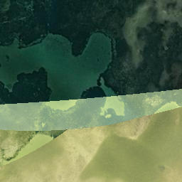 Satellite imagery of Mead Point, US