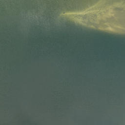 Satellite imagery of McNeil Point, US