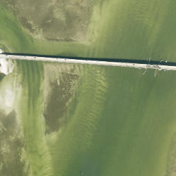 Satellite imagery of Grassy Point, US