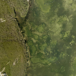 Satellite imagery of Grassy Point, US