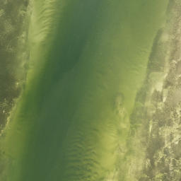 Satellite imagery of Grassy Point, US