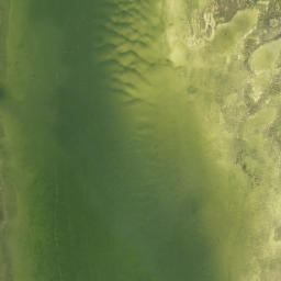 Satellite imagery of Grassy Point, US