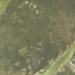 Satellite imagery of Cow Point, US