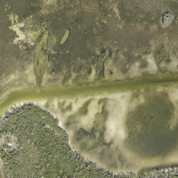 Satellite imagery of Cow Point, US
