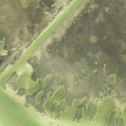 Satellite imagery of Cow Point, US