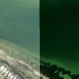 Satellite imagery of Bishops Point, US