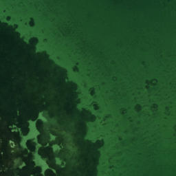 Satellite imagery of Bishops Point, US