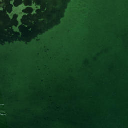 Satellite imagery of Bishops Point, US