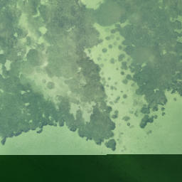 Satellite imagery of Stephens Point, US