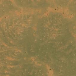 Satellite imagery of Gwirat Oum Rjim, EH