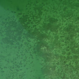 Satellite imagery of Quick Point, US