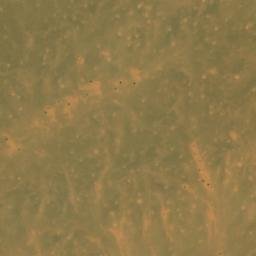 Satellite imagery of Tamnaiert, EH